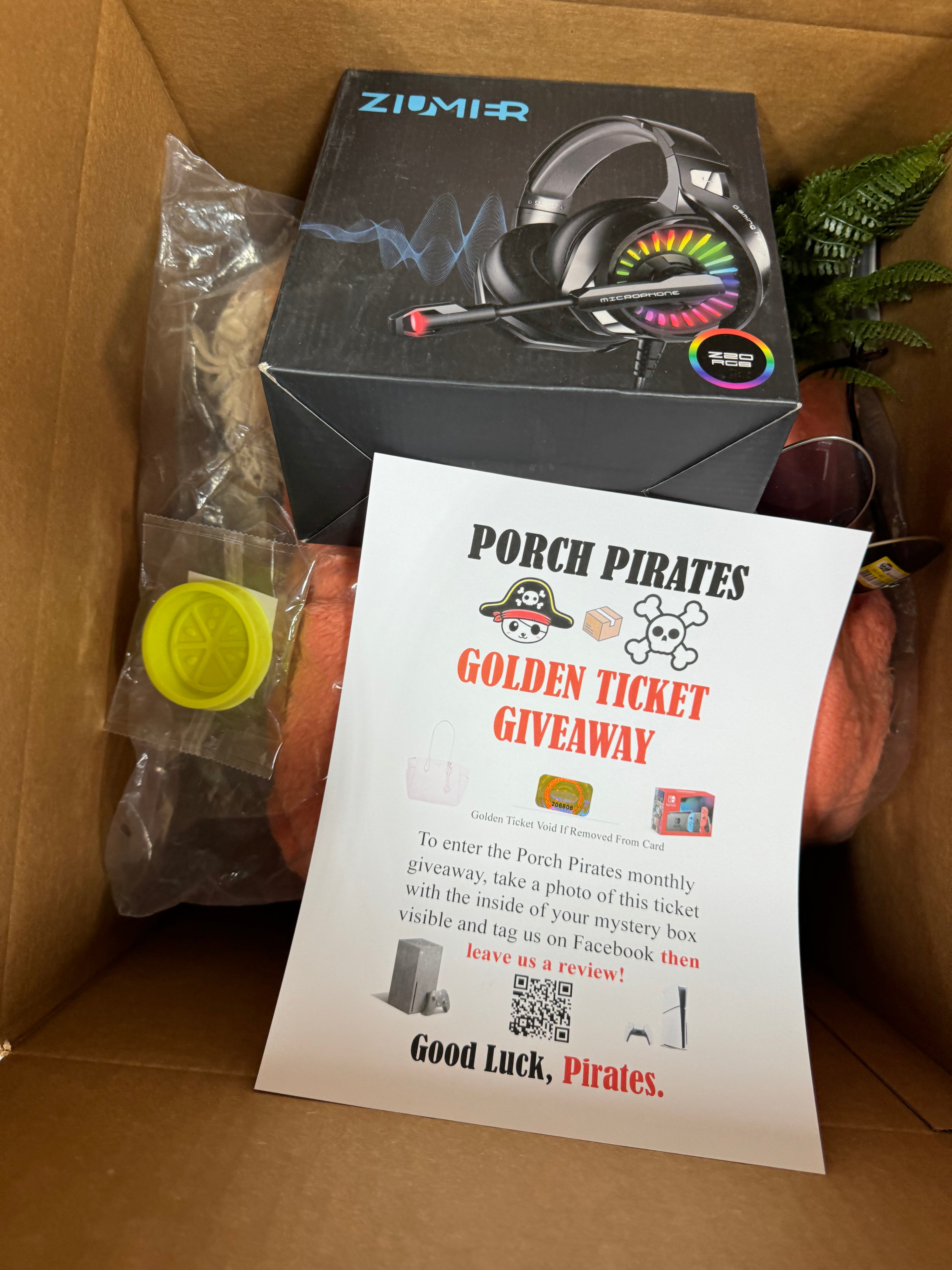 The Classic Liquidation Mystery Box – Porch Pirates